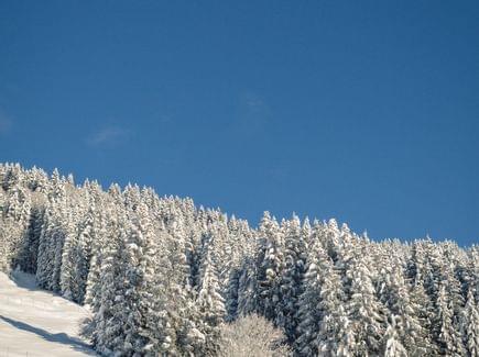Allgäu Winterurlaub im Hotel Torghele's Wald + Fluh im Allgäu